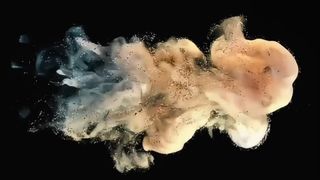 Toshiba ontwikkelaarspoeder D5070 500g voor e-STUDIO